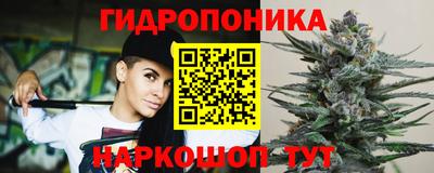 spice Шелехов
