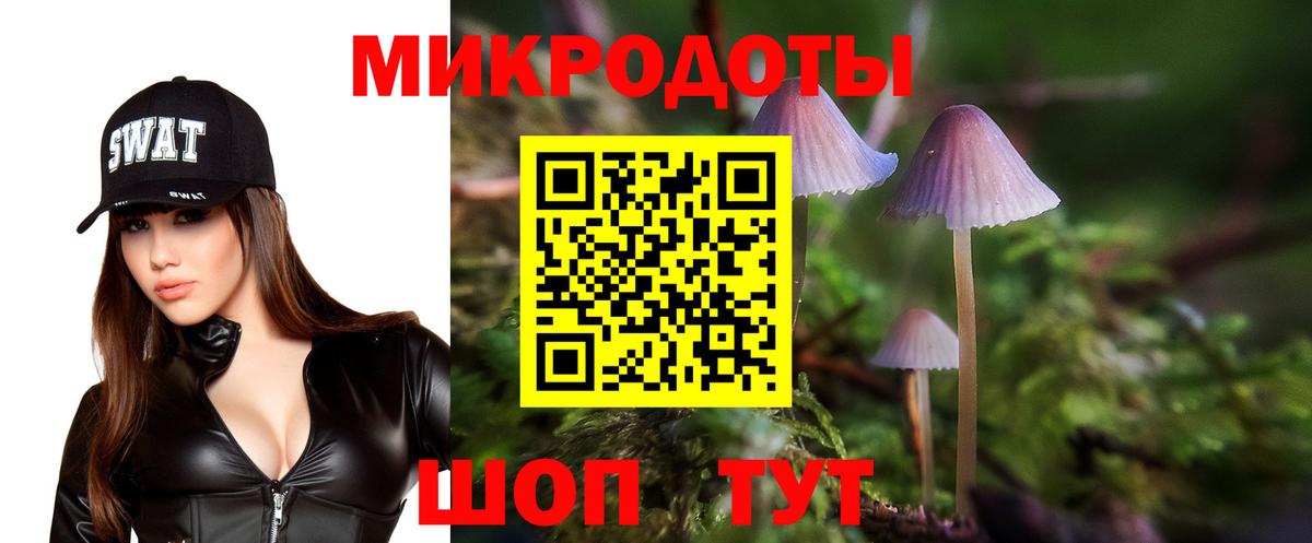 Галлюциногенные грибы мицелий Миллерово